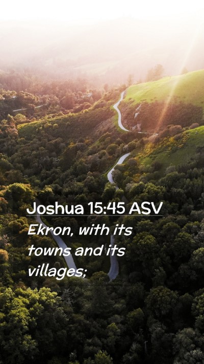 Picture 02 - Joshua 15:45 ASV Mobile Phone Wallpaper - Ekron, with its towns and its - Mobile Bible Verse Wallpaper