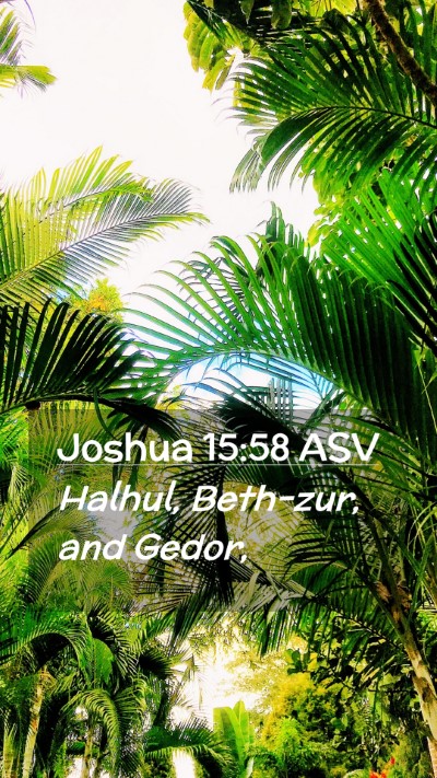 Picture 02 - Joshua 15:58 ASV Mobile Phone Wallpaper - Halhul, Beth-zur, and - Mobile Bible Verse Wallpaper