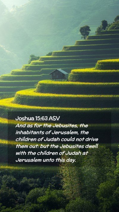 Picture 02 - Joshua 15:63 ASV Mobile Phone Wallpaper - And as for the Jebusites, the inhabitants of - Mobile Bible Verse Wallpaper