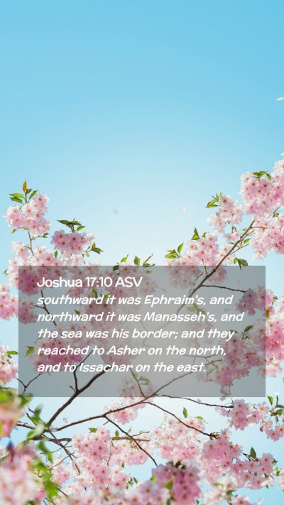 Picture 02 - Joshua 17:10 ASV Mobile Phone Wallpaper - southward it was Ephraim's, and northward it was - Mobile Bible Verse Wallpaper