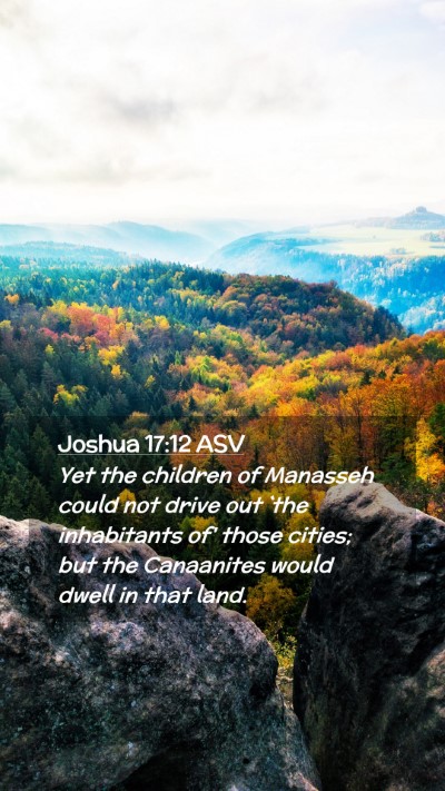 Picture 02 - Joshua 17:12 ASV Mobile Phone Wallpaper - Yet the children of Manasseh could not drive out - Mobile Bible Verse Wallpaper