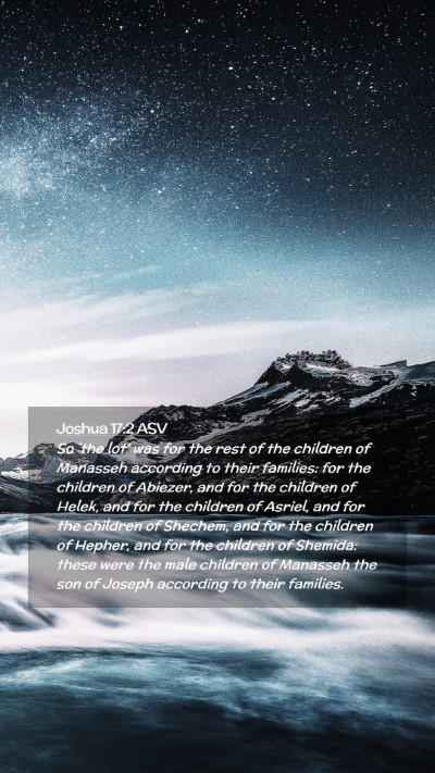 Picture 02 - Joshua 17:2 ASV Mobile Phone Wallpaper - So `the lot' was for the rest of the children of - Mobile Bible Verse Wallpaper