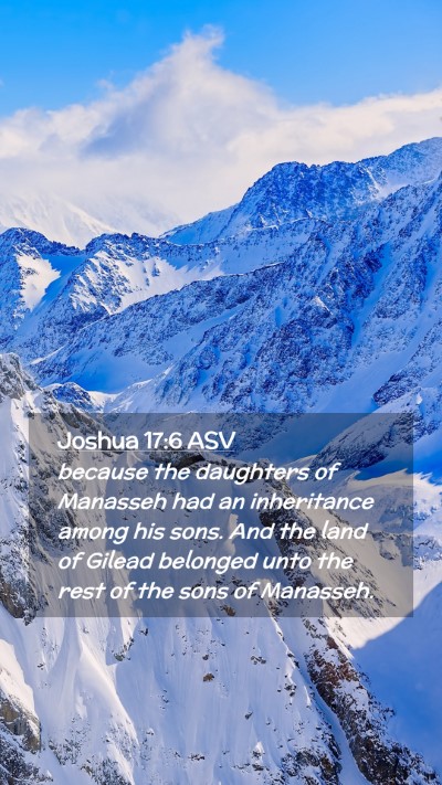 Picture 02 - Joshua 17:6 ASV Mobile Phone Wallpaper - because the daughters of Manasseh had an - Mobile Bible Verse Wallpaper