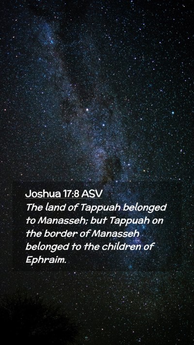 Picture 02 - Joshua 17:8 ASV Mobile Phone Wallpaper - The land of Tappuah belonged to Manasseh; but - Mobile Bible Verse Wallpaper