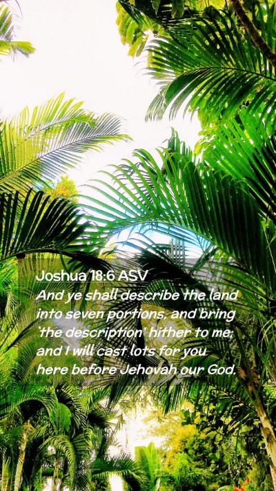 Picture 02 - Joshua 18:6 ASV Mobile Phone Wallpaper - And ye shall describe the land into seven - Mobile Bible Verse Wallpaper