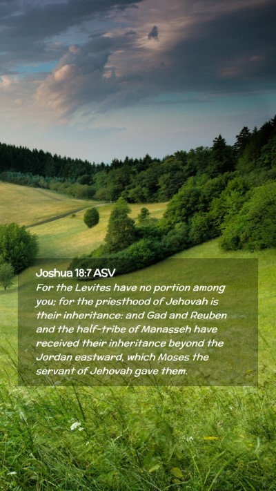 Picture 02 - Joshua 18:7 ASV Mobile Phone Wallpaper - For the Levites have no portion among you; for - Mobile Bible Verse Wallpaper
