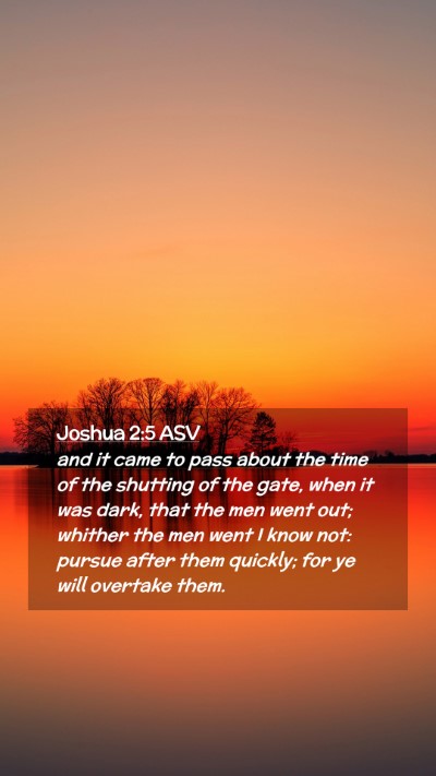 Picture 02 - Joshua 2:5 ASV Mobile Phone Wallpaper - and it came to pass about the time of the - Mobile Bible Verse Wallpaper