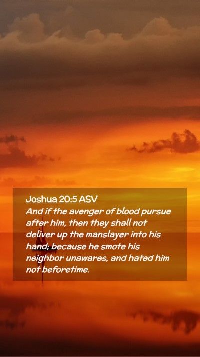 Picture 02 - Joshua 20:5 ASV Mobile Phone Wallpaper - And if the avenger of blood pursue after him, - Mobile Bible Verse Wallpaper