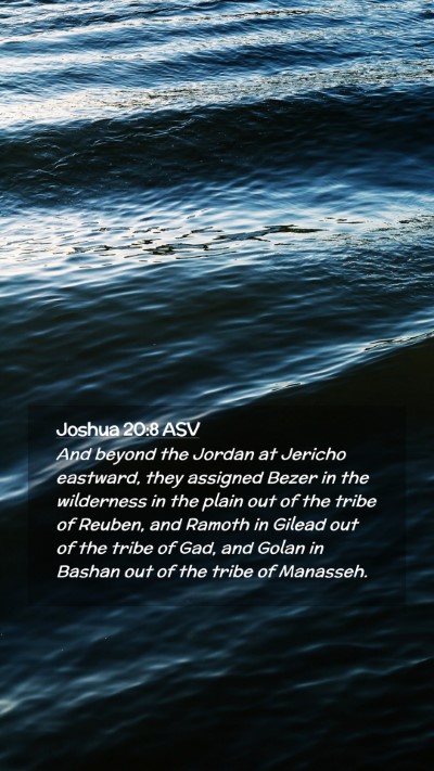 Picture 02 - Joshua 20:8 ASV Mobile Phone Wallpaper - And beyond the Jordan at Jericho eastward, they - Mobile Bible Verse Wallpaper