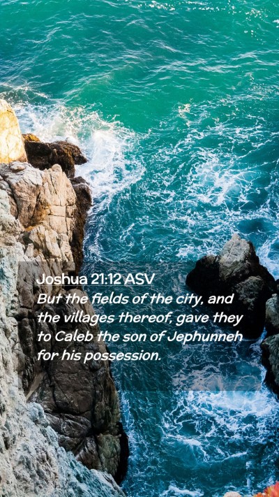 Picture 02 - Joshua 21:12 ASV Mobile Phone Wallpaper - But the fields of the city, and the villages - Mobile Bible Verse Wallpaper