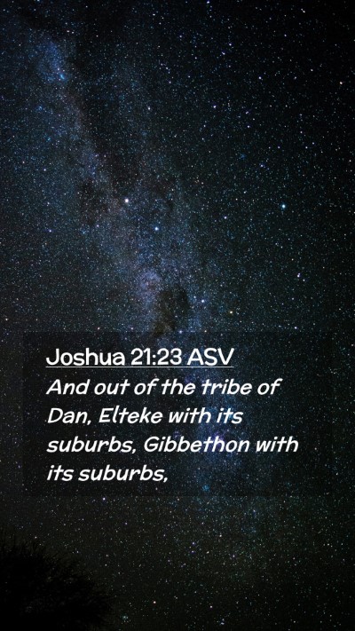 Picture 02 - Joshua 21:23 ASV Mobile Phone Wallpaper - And out of the tribe of Dan, Elteke with its - Mobile Bible Verse Wallpaper
