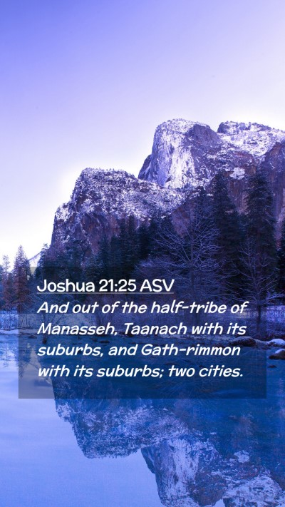 Picture 02 - Joshua 21:25 ASV Mobile Phone Wallpaper - And out of the half-tribe of Manasseh, Taanach - Mobile Bible Verse Wallpaper