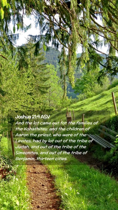Picture 02 - Joshua 21:4 ASV Mobile Phone Wallpaper - And the lot came out for the families of the - Mobile Bible Verse Wallpaper