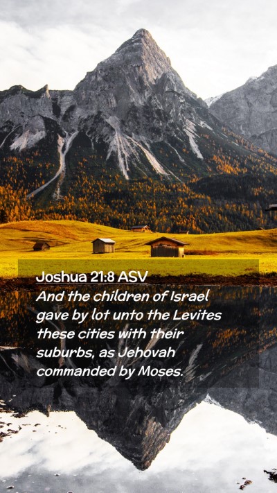 Picture 02 - Joshua 21:8 ASV Mobile Phone Wallpaper - And the children of Israel gave by lot unto the - Mobile Bible Verse Wallpaper