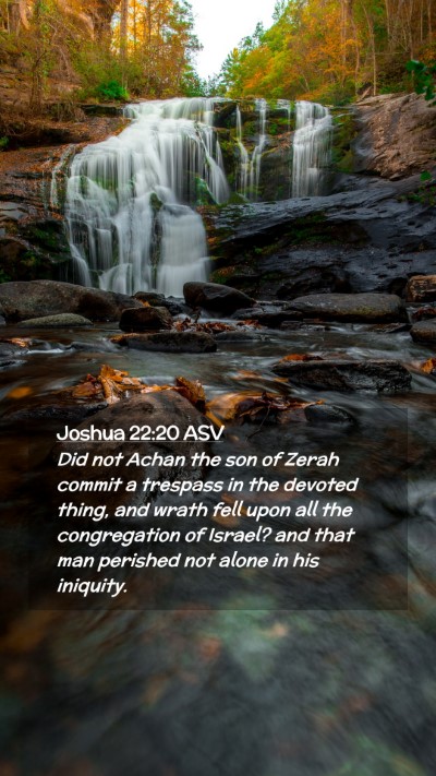 Picture 02 - Joshua 22:20 ASV Mobile Phone Wallpaper - Did not Achan the son of Zerah commit a trespass - Mobile Bible Verse Wallpaper