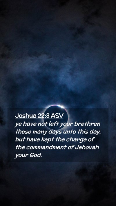 Picture 02 - Joshua 22:3 ASV Mobile Phone Wallpaper - ye have not left your brethren these many days - Mobile Bible Verse Wallpaper