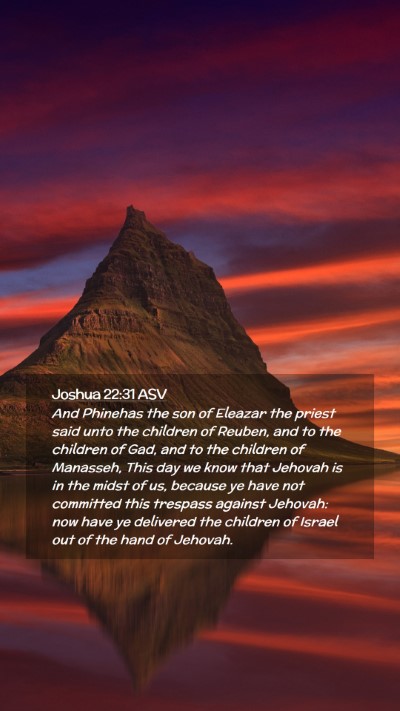 Picture 02 - Joshua 22:31 ASV Mobile Phone Wallpaper - And Phinehas the son of Eleazar the priest said - Mobile Bible Verse Wallpaper