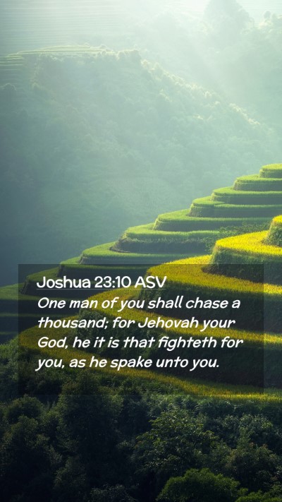 Picture 02 - Joshua 23:10 ASV Mobile Phone Wallpaper - One man of you shall chase a thousand; for - Mobile Bible Verse Wallpaper