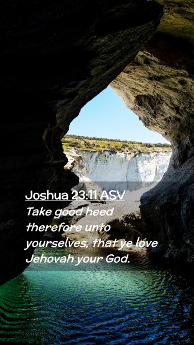 Picture 02 - Joshua 23:11 ASV Mobile Phone Wallpaper - Take good heed therefore unto yourselves, that ye - Mobile Bible Verse Wallpaper