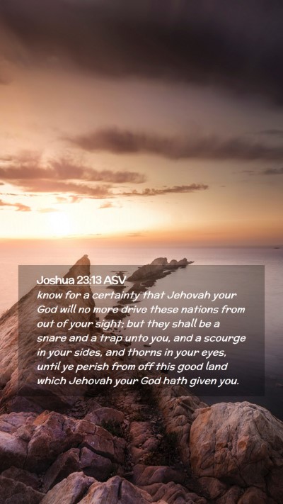 Picture 02 - Joshua 23:13 ASV Mobile Phone Wallpaper - know for a certainty that Jehovah your God will - Mobile Bible Verse Wallpaper