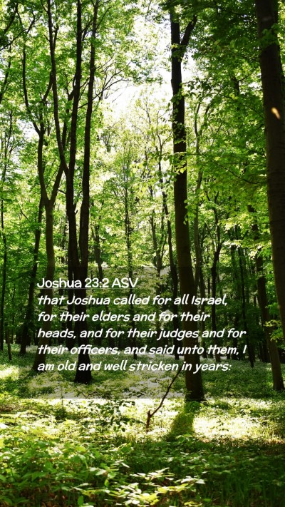 Picture 02 - Joshua 23:2 ASV Mobile Phone Wallpaper - that Joshua called for all Israel, for their - Mobile Bible Verse Wallpaper