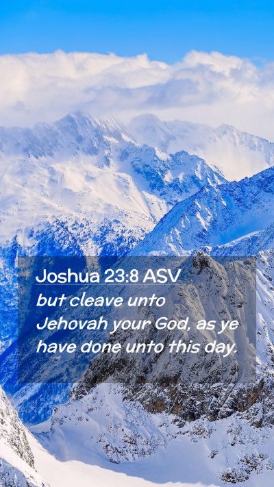 Picture 02 - Joshua 23:8 ASV Mobile Phone Wallpaper - but cleave unto Jehovah your God, as ye have done - Mobile Bible Verse Wallpaper