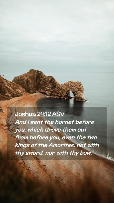 Picture 02 - Joshua 24:12 ASV Mobile Phone Wallpaper - And I sent the hornet before you, which drove - Mobile Bible Verse Wallpaper