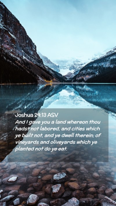 Picture 02 - Joshua 24:13 ASV Mobile Phone Wallpaper - And I gave you a land whereon thou hadst not - Mobile Bible Verse Wallpaper