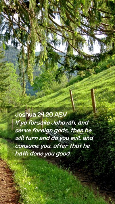 Picture 02 - Joshua 24:20 ASV Mobile Phone Wallpaper - If ye forsake Jehovah, and serve foreign gods, - Mobile Bible Verse Wallpaper