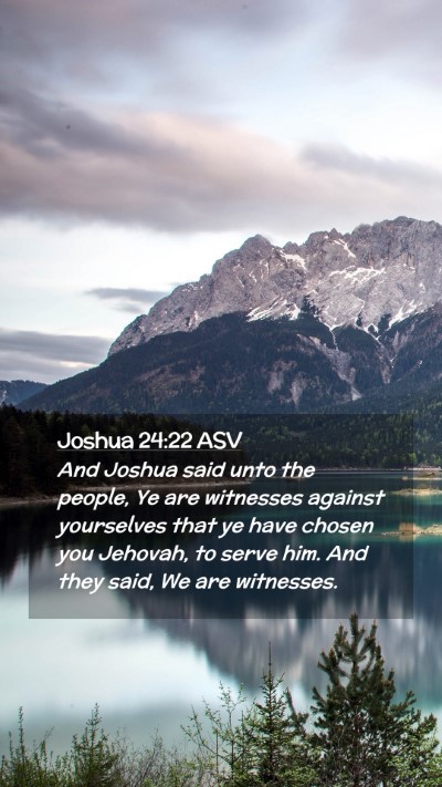 Picture 02 - Joshua 24:22 ASV Mobile Phone Wallpaper - And Joshua said unto the people, Ye are witnesses - Mobile Bible Verse Wallpaper