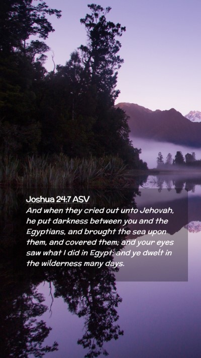 Picture 02 - Joshua 24:7 ASV Mobile Phone Wallpaper - And when they cried out unto Jehovah, he put - Mobile Bible Verse Wallpaper