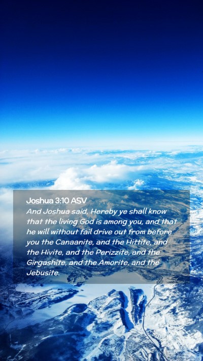 Picture 02 - Joshua 3:10 ASV Mobile Phone Wallpaper - And Joshua said, Hereby ye shall know that the - Mobile Bible Verse Wallpaper