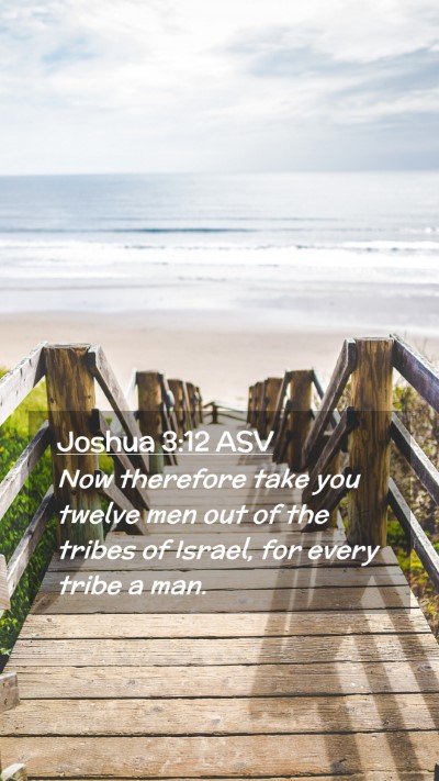 Picture 02 - Joshua 3:12 ASV Mobile Phone Wallpaper - Now therefore take you twelve men out of the - Mobile Bible Verse Wallpaper
