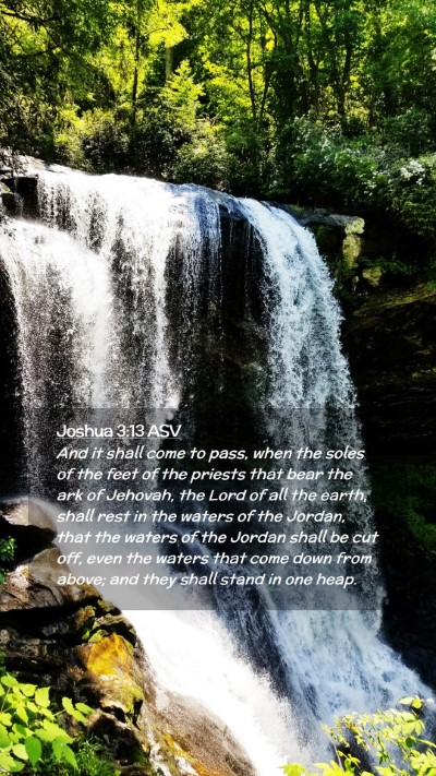 Picture 02 - Joshua 3:13 ASV Mobile Phone Wallpaper - And it shall come to pass, when the soles of the - Mobile Bible Verse Wallpaper