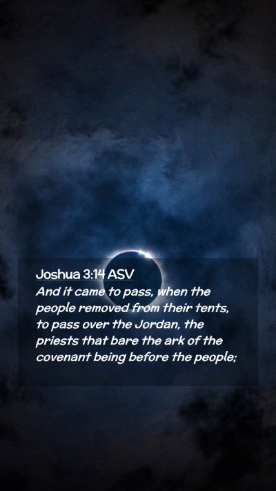 Picture 02 - Joshua 3:14 ASV Mobile Phone Wallpaper - And it came to pass, when the people removed from - Mobile Bible Verse Wallpaper