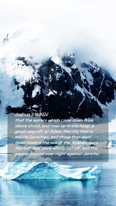 Picture 02 - Joshua 3:16 ASV Mobile Phone Wallpaper - that the waters which came down from above stood, - Mobile Bible Verse Wallpaper