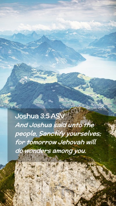 Picture 02 - Joshua 3:5 ASV Mobile Phone Wallpaper - And Joshua said unto the people, Sanctify - Mobile Bible Verse Wallpaper