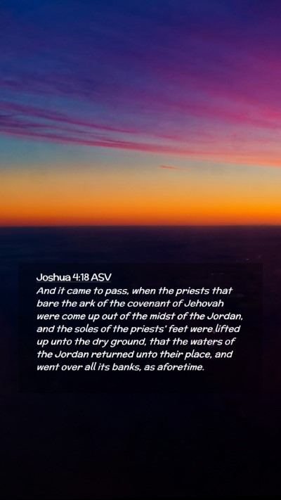 Picture 02 - Joshua 4:18 ASV Mobile Phone Wallpaper - And it came to pass, when the priests that bare - Mobile Bible Verse Wallpaper