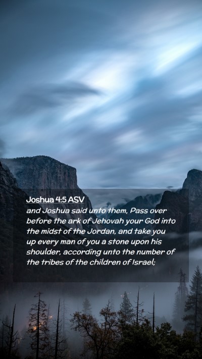 Picture 02 - Joshua 4:5 ASV Mobile Phone Wallpaper - and Joshua said unto them, Pass over before the - Mobile Bible Verse Wallpaper