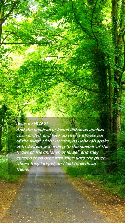 Picture 02 - Joshua 4:8 ASV Mobile Phone Wallpaper - And the children of Israel did so as Joshua - Mobile Bible Verse Wallpaper