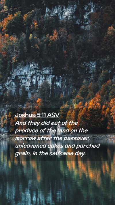 Picture 02 - Joshua 5:11 ASV Mobile Phone Wallpaper - And they did eat of the produce of the land on - Mobile Bible Verse Wallpaper