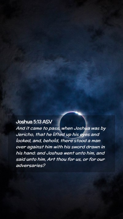 Picture 02 - Joshua 5:13 ASV Mobile Phone Wallpaper - And it came to pass, when Joshua was by Jericho, - Mobile Bible Verse Wallpaper