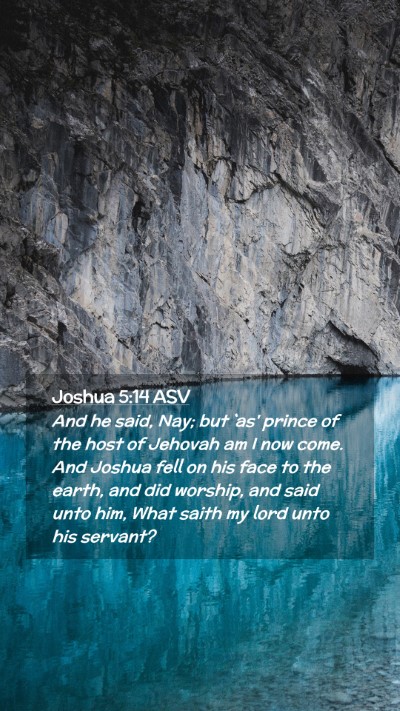 Picture 02 - Joshua 5:14 ASV Mobile Phone Wallpaper - And he said, Nay; but `as' prince of the host of - Mobile Bible Verse Wallpaper