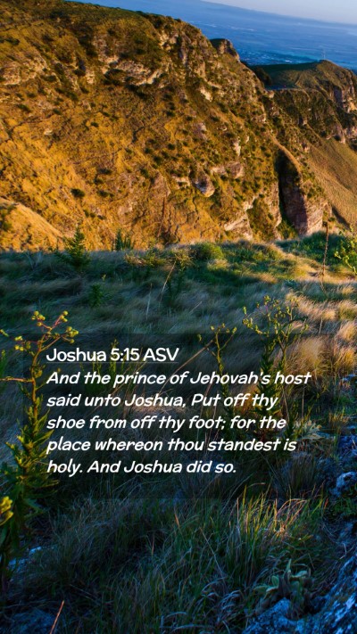 Picture 02 - Joshua 5:15 ASV Mobile Phone Wallpaper - And the prince of Jehovah's host said unto - Mobile Bible Verse Wallpaper