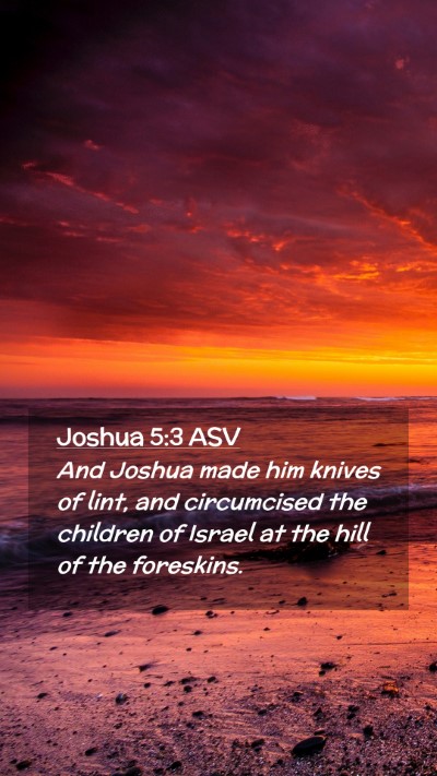 Picture 02 - Joshua 5:3 ASV Mobile Phone Wallpaper - And Joshua made him knives of lint, and - Mobile Bible Verse Wallpaper