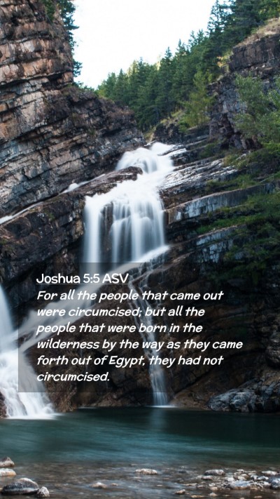 Picture 02 - Joshua 5:5 ASV Mobile Phone Wallpaper - For all the people that came out were - Mobile Bible Verse Wallpaper