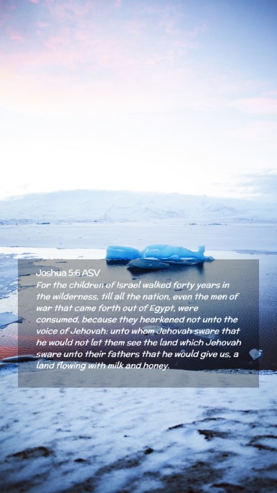 Picture 02 - Joshua 5:6 ASV Mobile Phone Wallpaper - For the children of Israel walked forty years in - Mobile Bible Verse Wallpaper