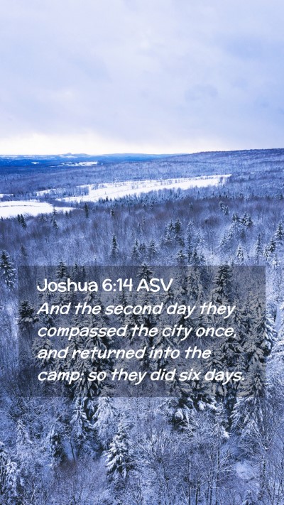 Picture 02 - Joshua 6:14 ASV Mobile Phone Wallpaper - And the second day they compassed the city once, - Mobile Bible Verse Wallpaper