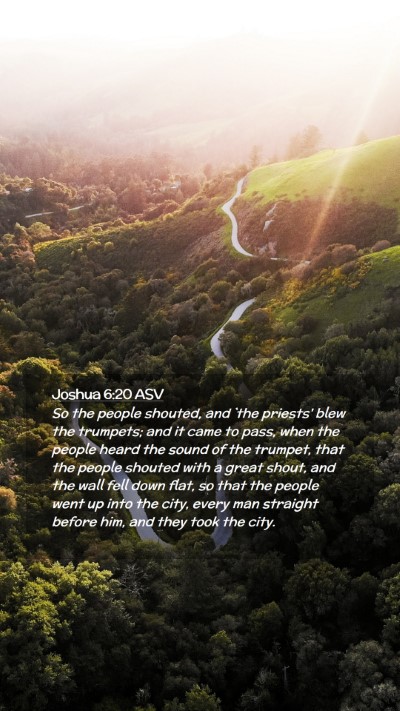 Picture 02 - Joshua 6:20 ASV Mobile Phone Wallpaper - So the people shouted, and `the priests' blew the - Mobile Bible Verse Wallpaper