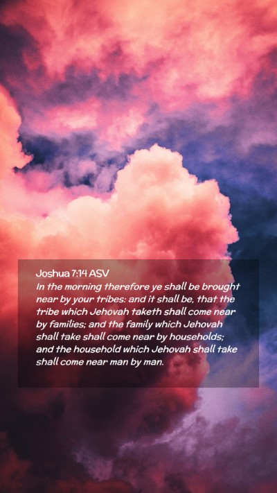 Picture 02 - Joshua 7:14 ASV Mobile Phone Wallpaper - In the morning therefore ye shall be brought near - Mobile Bible Verse Wallpaper